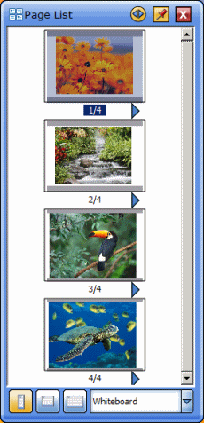 pagelist_panel.gif
