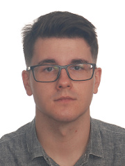 [Ljubodrag S. Aleksic]